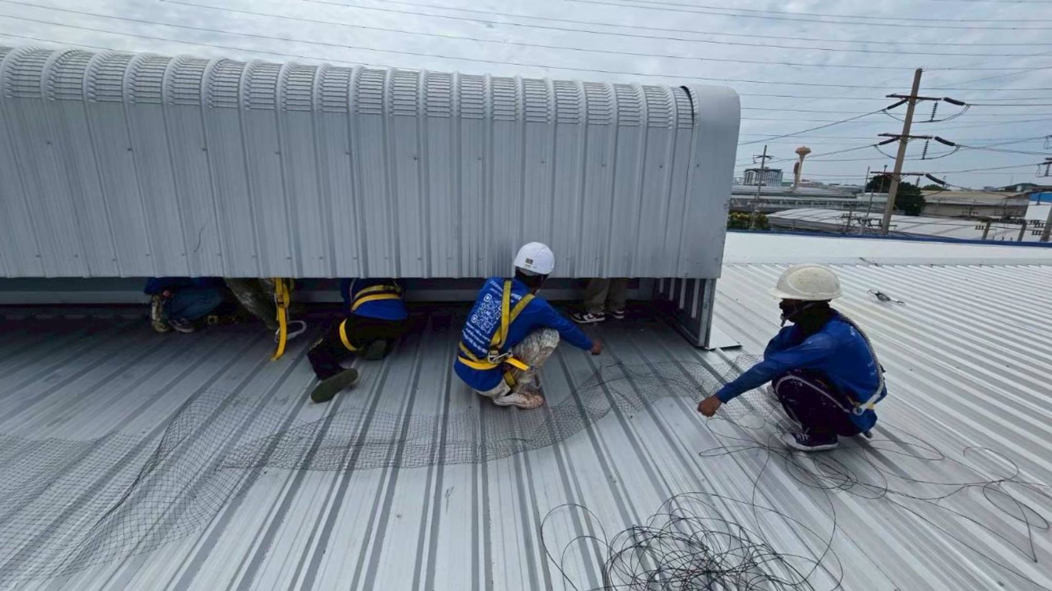 New Project (10).jpg